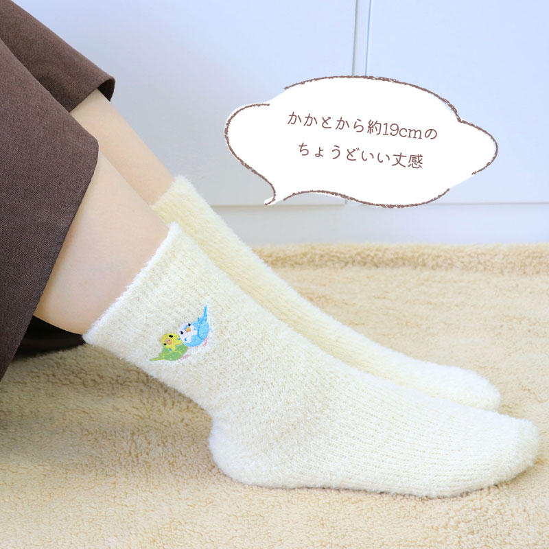 �ڤ��Ȥꤹ�ޤ���� �դ�⤳�롼�ॽ�å���  ���ޥ��ʥ� ������������ �����ᥤ�� ʸĻ