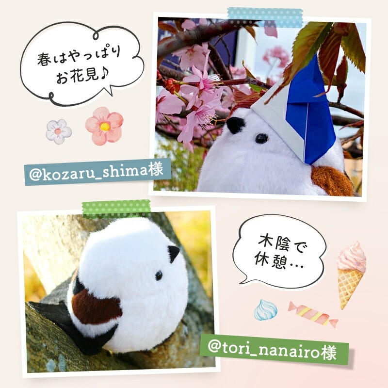 kotori smile ޥʥ ̤ߡ1ڥ