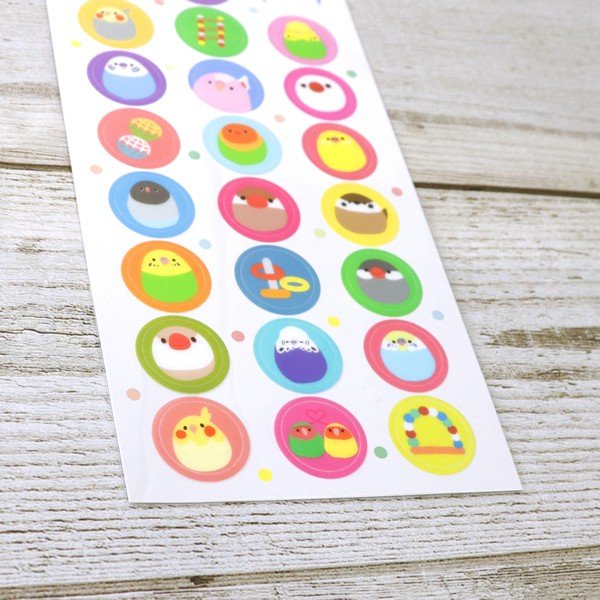 �ڤʤ��ߥ��꡼���ۤޤ�ޤ륷���롡���椦�ѥ��å��б�������ʸĻ�������ᥤ�󥳡�������������