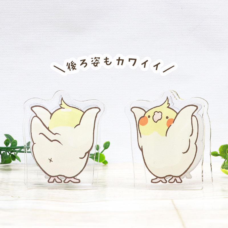 ことりのアクリルクリップ ◆ゆうパケット対応◆ アクリル クリップ スタンド メモ 文房具  インテリア オカメ セキセイ コザクラ インコ 文鳥【ことりすまいる】