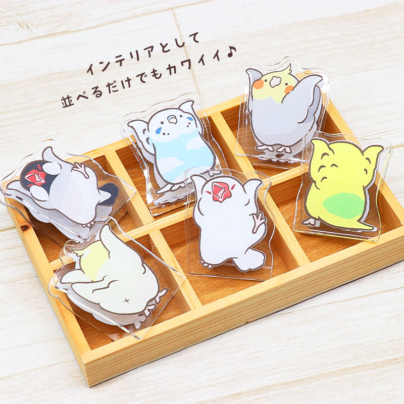 ことりのアクリルクリップ ◆ゆうパケット対応◆ アクリル クリップ スタンド メモ 文房具  インテリア オカメ セキセイ コザクラ インコ 文鳥【ことりすまいる】