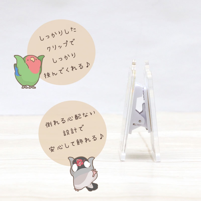 ことりのアクリルクリップ ◆ゆうパケット対応◆ アクリル クリップ スタンド メモ 文房具  インテリア オカメ セキセイ コザクラ インコ 文鳥【ことりすまいる】