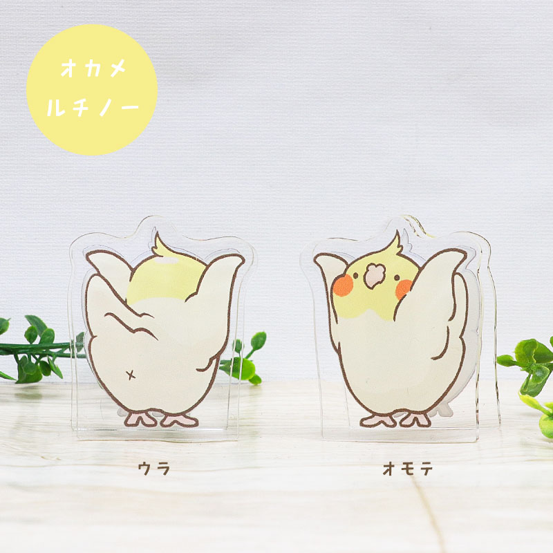 ことりのアクリルクリップ ◆ゆうパケット対応◆ アクリル クリップ スタンド メモ 文房具  インテリア オカメ セキセイ コザクラ インコ 文鳥【ことりすまいる】