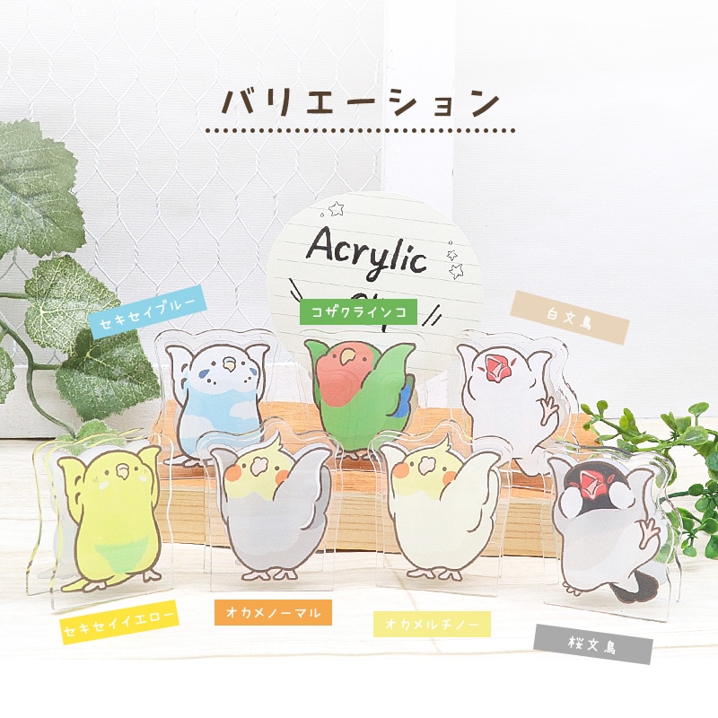 ことりのアクリルクリップ ◆ゆうパケット対応◆ アクリル クリップ スタンド メモ 文房具  インテリア オカメ セキセイ コザクラ インコ 文鳥【ことりすまいる】