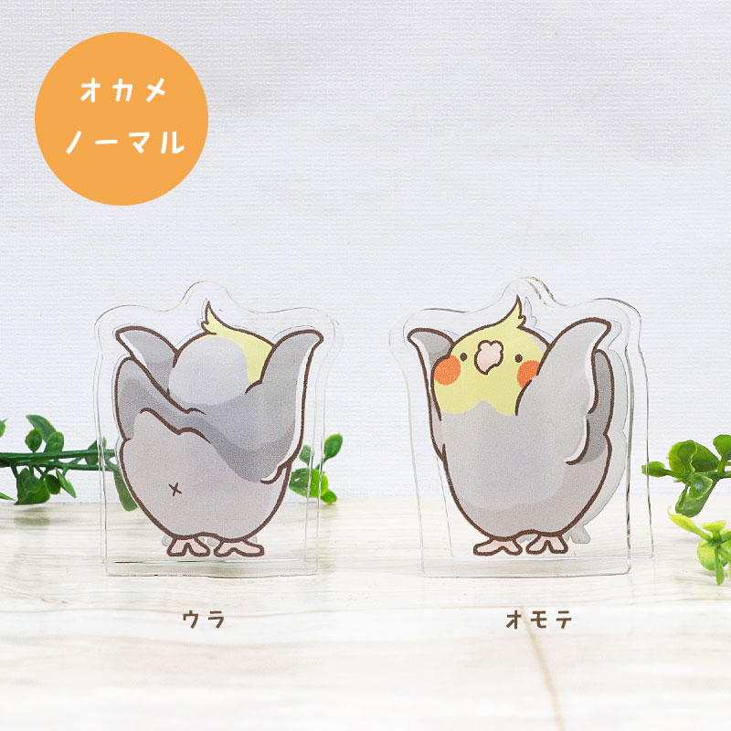 ことりのアクリルクリップ ◆ゆうパケット対応◆ アクリル クリップ スタンド メモ 文房具  インテリア オカメ セキセイ コザクラ インコ 文鳥【ことりすまいる】