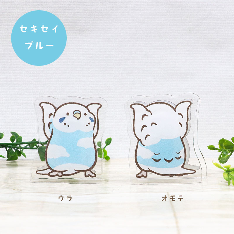 ことりのアクリルクリップ ◆ゆうパケット対応◆ アクリル クリップ スタンド メモ 文房具  インテリア オカメ セキセイ コザクラ インコ 文鳥【ことりすまいる】