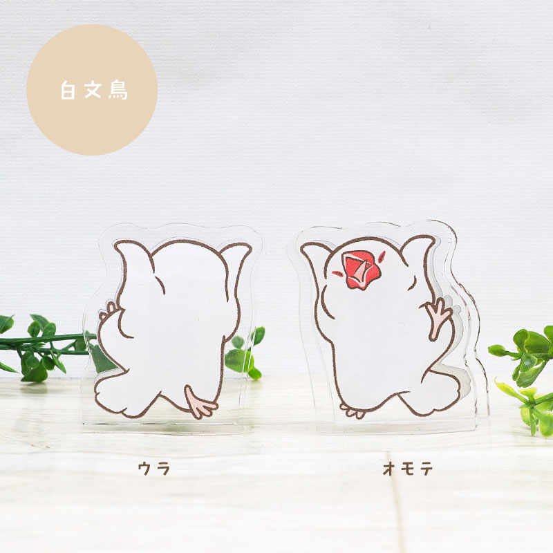 ことりのアクリルクリップ ◆ゆうパケット対応◆ アクリル クリップ スタンド メモ 文房具  インテリア オカメ セキセイ コザクラ インコ 文鳥【ことりすまいる】