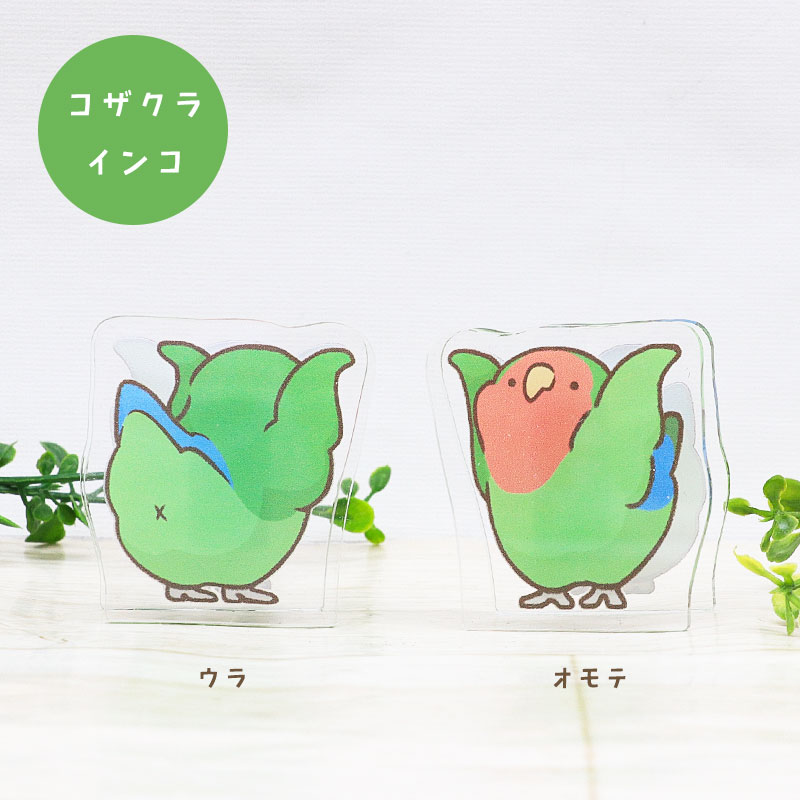 ことりのアクリルクリップ ◆ゆうパケット対応◆ アクリル クリップ スタンド メモ 文房具  インテリア オカメ セキセイ コザクラ インコ 文鳥【ことりすまいる】