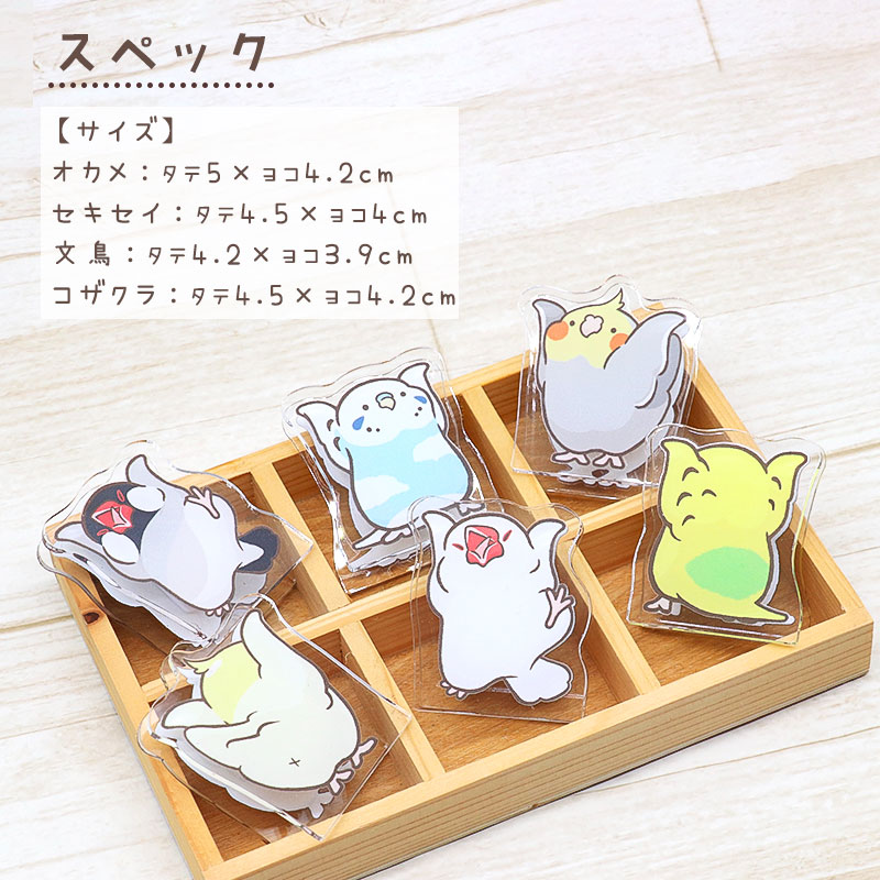 ことりのアクリルクリップ ◆ゆうパケット対応◆ アクリル クリップ スタンド メモ 文房具  インテリア オカメ セキセイ コザクラ インコ 文鳥【ことりすまいる】