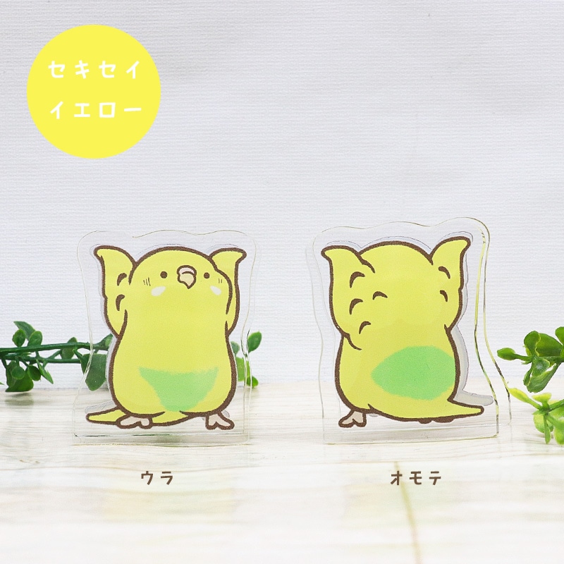 ことりのアクリルクリップ ◆ゆうパケット対応◆ アクリル クリップ スタンド メモ 文房具  インテリア オカメ セキセイ コザクラ インコ 文鳥【ことりすまいる】