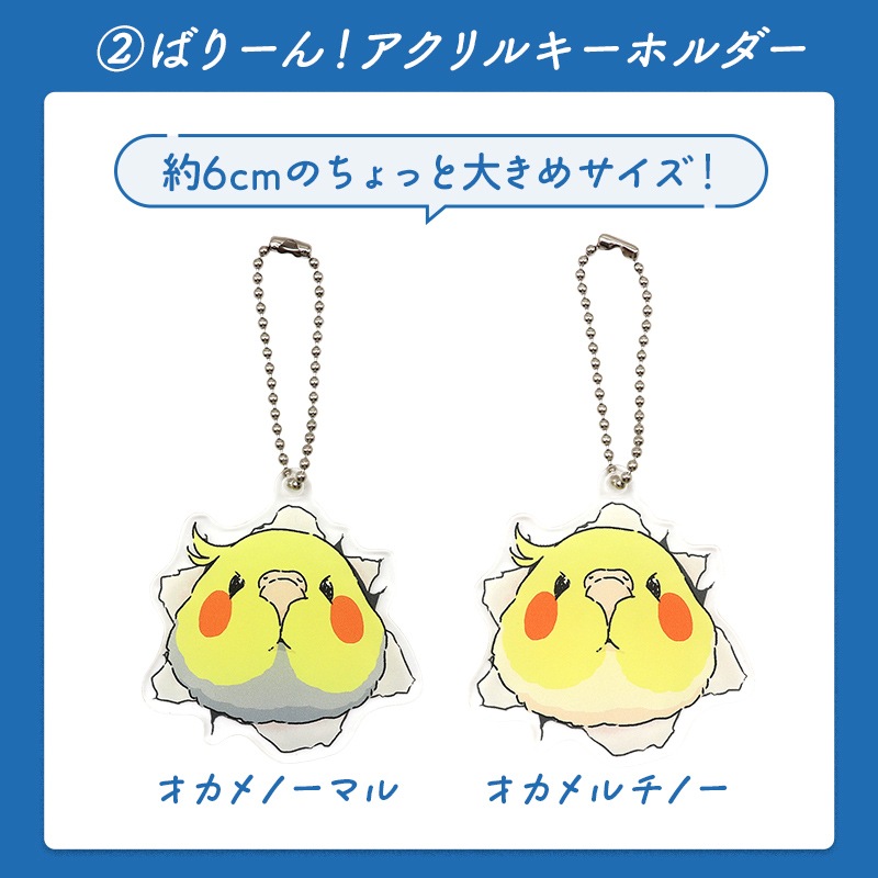 わくわく！夏のことり福袋2026★オカメインコ 全2柄 オカメルチノー オカメノーマル★小鳥グッズ 小鳥雑貨 雑貨 福袋 ハッピーバッグ ハッピーパック 夏の福袋 プレゼント ギフト 限定品 福袋 2026年 夏季
