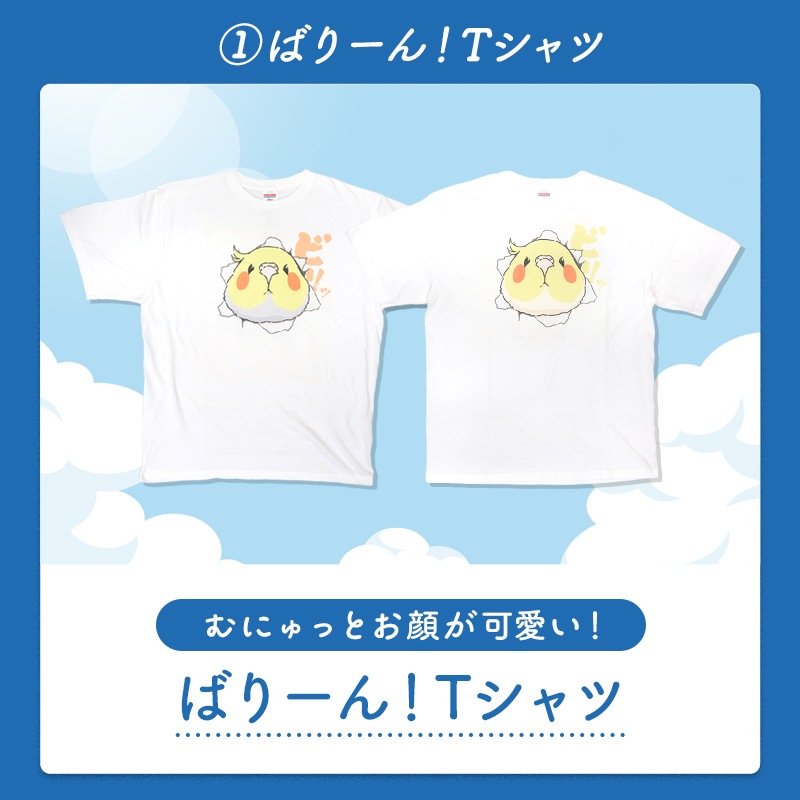 わくわく！夏のことり福袋2026★オカメインコ 全2柄 オカメルチノー オカメノーマル★小鳥グッズ 小鳥雑貨 雑貨 福袋 ハッピーバッグ ハッピーパック 夏の福袋 プレゼント ギフト 限定品 福袋 2026年 夏季