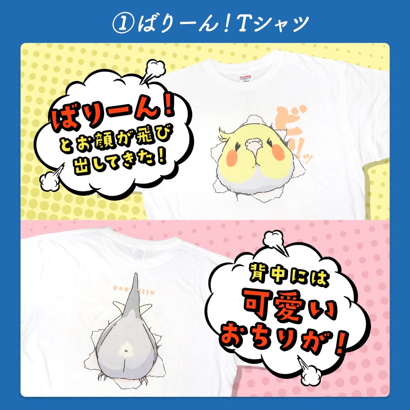 わくわく！夏のことり福袋2026★オカメインコ 全2柄 オカメルチノー オカメノーマル★小鳥グッズ 小鳥雑貨 雑貨 福袋 ハッピーバッグ ハッピーパック 夏の福袋 プレゼント ギフト 限定品 福袋 2026年 夏季