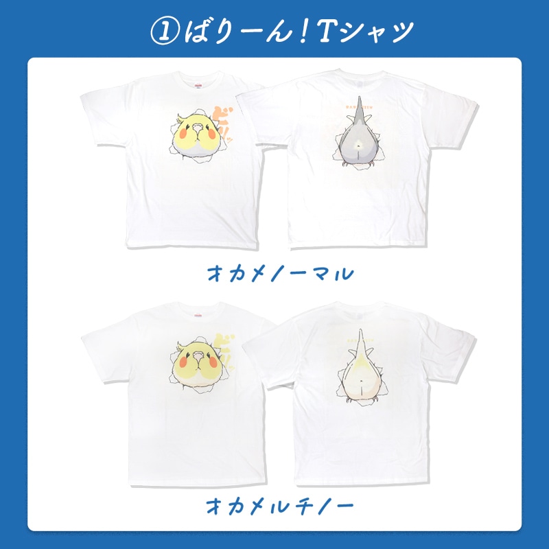 わくわく！夏のことり福袋2026★オカメインコ 全2柄 オカメルチノー オカメノーマル★小鳥グッズ 小鳥雑貨 雑貨 福袋 ハッピーバッグ ハッピーパック 夏の福袋 プレゼント ギフト 限定品 福袋 2026年 夏季