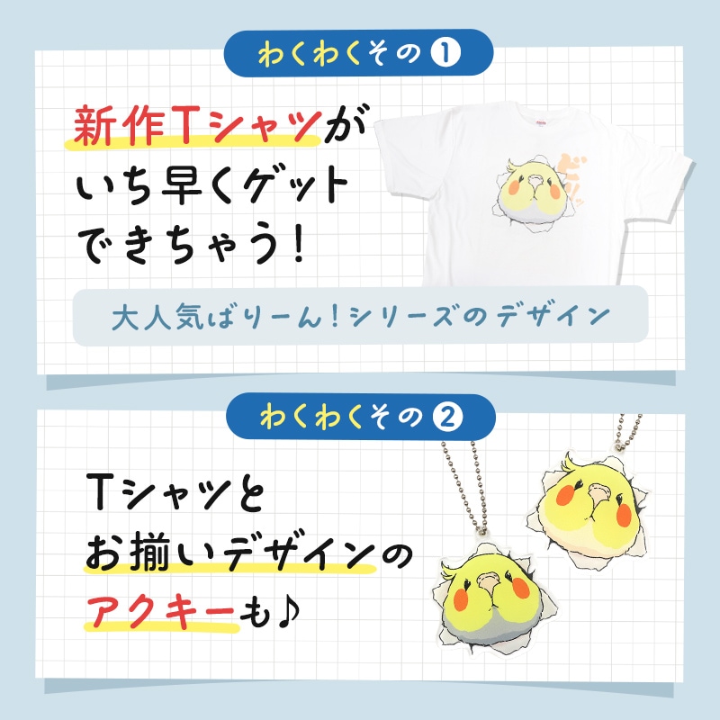 わくわく！夏のことり福袋2026★オカメインコ 全2柄 オカメルチノー オカメノーマル★小鳥グッズ 小鳥雑貨 雑貨 福袋 ハッピーバッグ ハッピーパック 夏の福袋 プレゼント ギフト 限定品 福袋 2026年 夏季