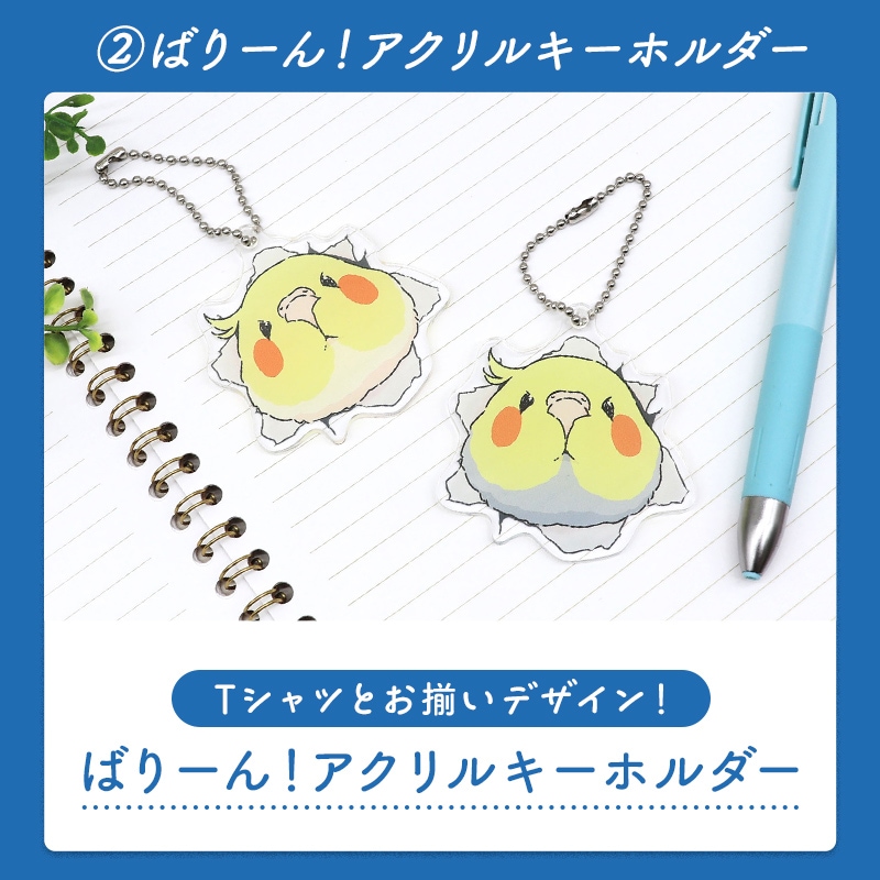 わくわく！夏のことり福袋2026★オカメインコ 全2柄 オカメルチノー オカメノーマル★小鳥グッズ 小鳥雑貨 雑貨 福袋 ハッピーバッグ ハッピーパック 夏の福袋 プレゼント ギフト 限定品 福袋 2026年 夏季