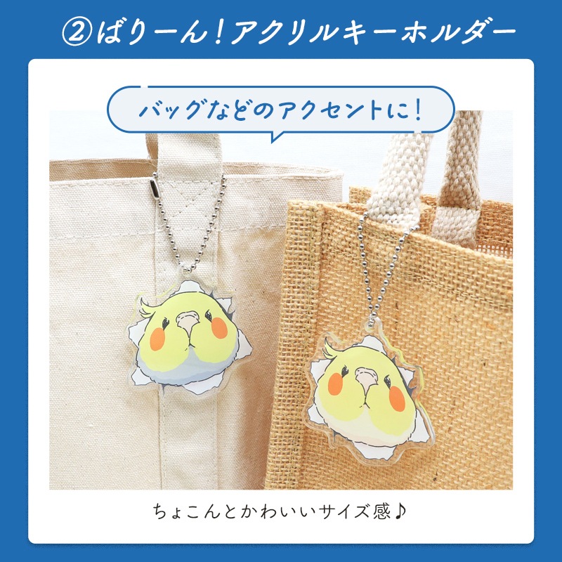 わくわく！夏のことり福袋2026★オカメインコ 全2柄 オカメルチノー オカメノーマル★小鳥グッズ 小鳥雑貨 雑貨 福袋 ハッピーバッグ ハッピーパック 夏の福袋 プレゼント ギフト 限定品 福袋 2026年 夏季