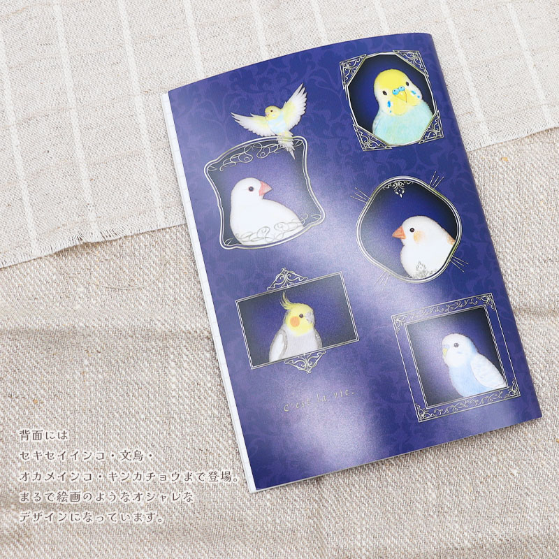 �������塼��Ģ�������륻�å� ��aoamo�ߤ��Ȥꤹ�ޤ���� ���椦�ѥ��å��б��� ��Ģ �ե꡼ ����̵��