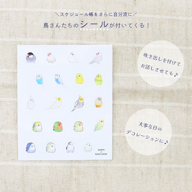 �������塼��Ģ�������륻�å� ��aoamo�ߤ��Ȥꤹ�ޤ���� ���椦�ѥ��å��б��� ��Ģ �ե꡼ ����̵��