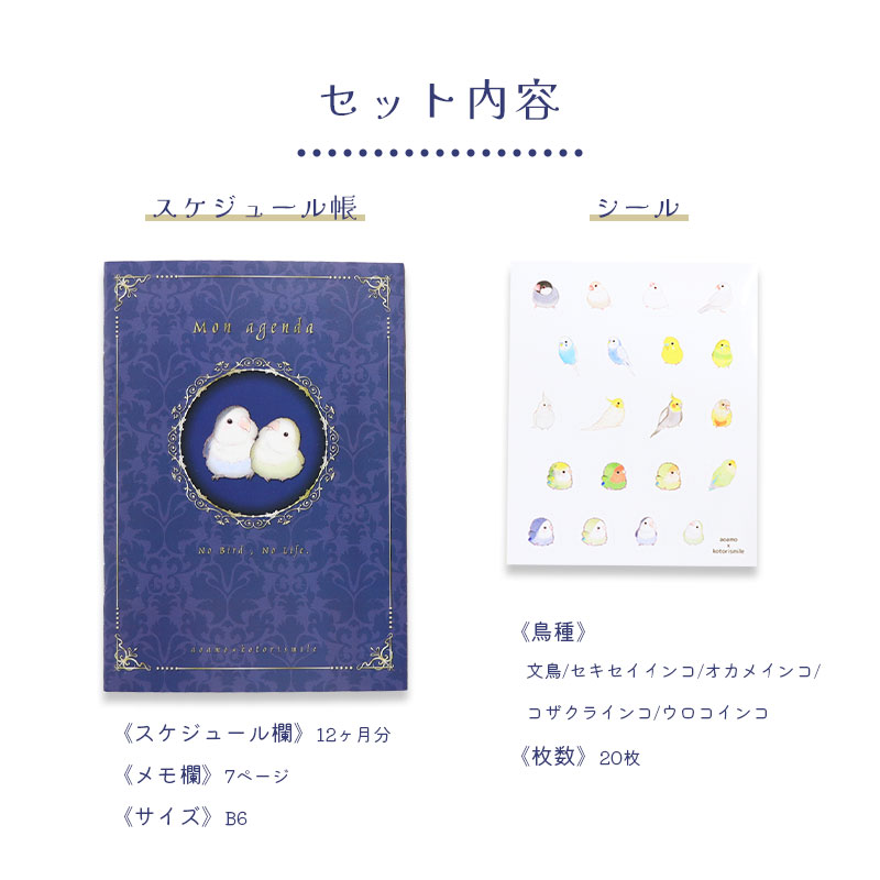 �������塼��Ģ�������륻�å� ��aoamo�ߤ��Ȥꤹ�ޤ���� ���椦�ѥ��å��б��� ��Ģ �ե꡼ ����̵��