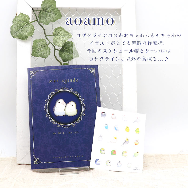 �������塼��Ģ�������륻�å� ��aoamo�ߤ��Ȥꤹ�ޤ���� ���椦�ѥ��å��б��� ��Ģ �ե꡼ ����̵��