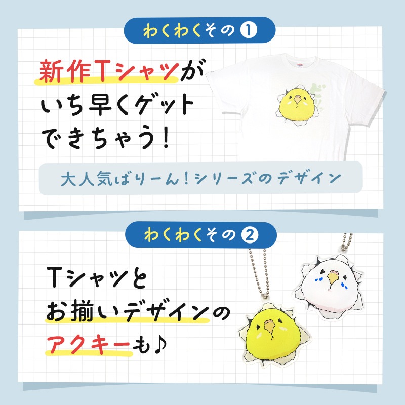 わくわく！夏のことり福袋2026★セキセイインコ 全2柄 セキセイ ブルー×ホワイト セキセイ グリーン×イエロー★小鳥グッズ 小鳥雑貨 雑貨 福袋 ハッピーバッグ ハッピーパック 夏の福袋 プレゼント ギフト 限定品 福袋 2026年 夏季