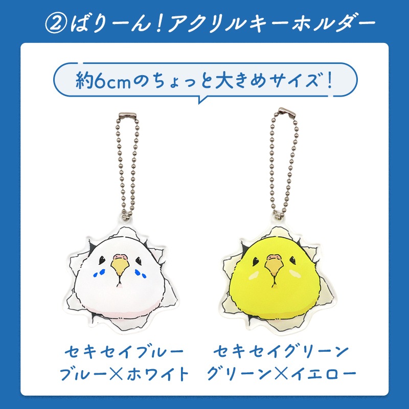 わくわく！夏のことり福袋2026★セキセイインコ 全2柄 セキセイ ブルー×ホワイト セキセイ グリーン×イエロー★小鳥グッズ 小鳥雑貨 雑貨 福袋 ハッピーバッグ ハッピーパック 夏の福袋 プレゼント ギフト 限定品 福袋 2026年 夏季