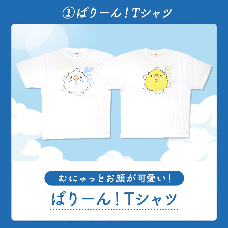 わくわく！夏のことり福袋2026★セキセイインコ 全2柄 セキセイ ブルー×ホワイト セキセイ グリーン×イエロー★小鳥グッズ 小鳥雑貨 雑貨 福袋 ハッピーバッグ ハッピーパック 夏の福袋 プレゼント ギフト 限定品 福袋 2026年 夏季