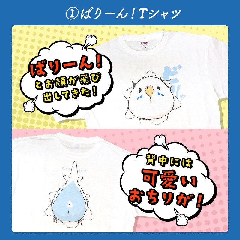 わくわく！夏のことり福袋2026★セキセイインコ 全2柄 セキセイ ブルー×ホワイト セキセイ グリーン×イエロー★小鳥グッズ 小鳥雑貨 雑貨 福袋 ハッピーバッグ ハッピーパック 夏の福袋 プレゼント ギフト 限定品 福袋 2026年 夏季