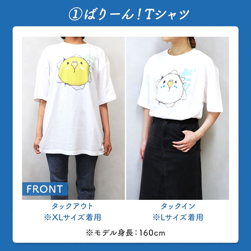わくわく！夏のことり福袋2026★セキセイインコ 全2柄 セキセイ ブルー×ホワイト セキセイ グリーン×イエロー★小鳥グッズ 小鳥雑貨 雑貨 福袋 ハッピーバッグ ハッピーパック 夏の福袋 プレゼント ギフト 限定品 福袋 2026年 夏季