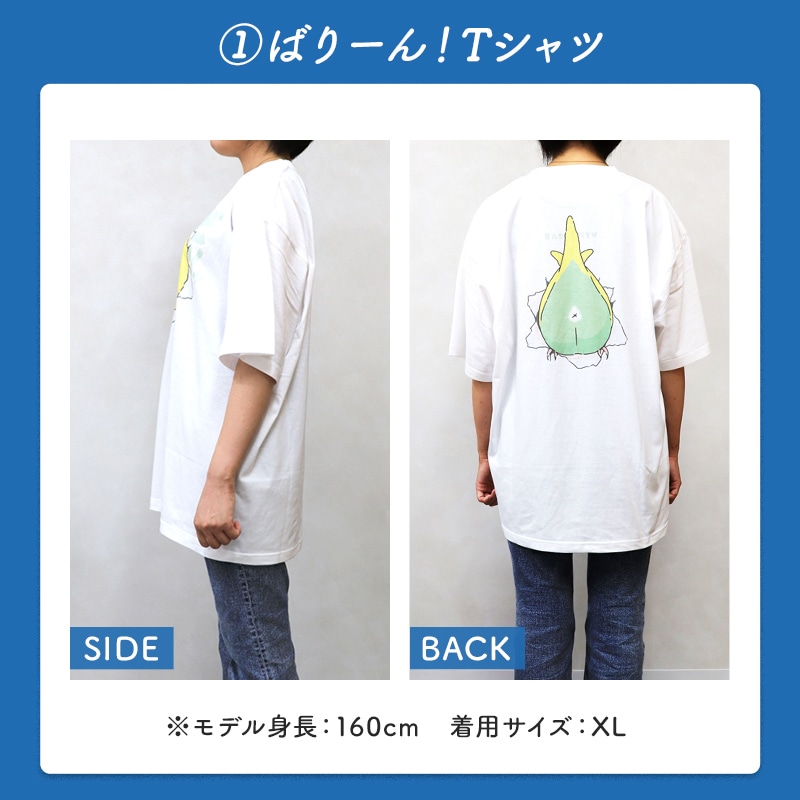 わくわく！夏のことり福袋2026★セキセイインコ 全2柄 セキセイ ブルー×ホワイト セキセイ グリーン×イエロー★小鳥グッズ 小鳥雑貨 雑貨 福袋 ハッピーバッグ ハッピーパック 夏の福袋 プレゼント ギフト 限定品 福袋 2026年 夏季