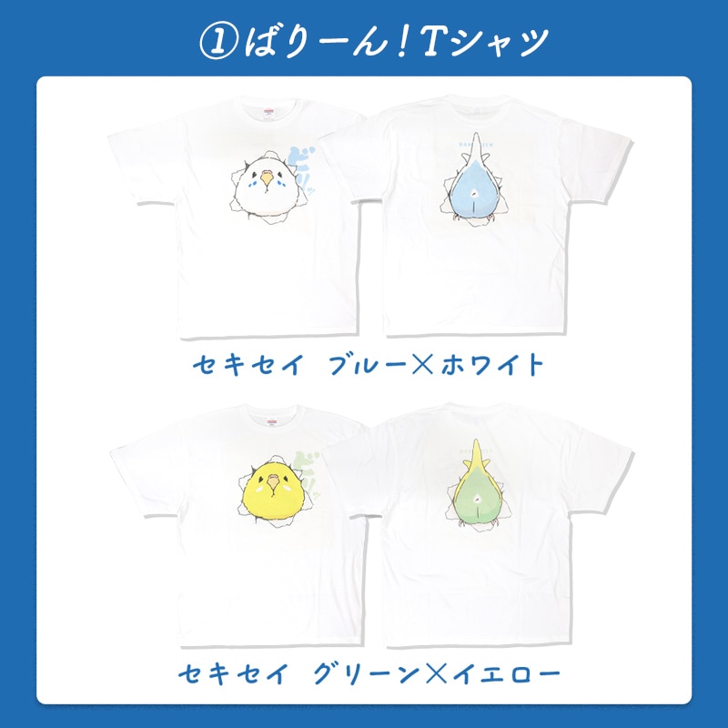 わくわく！夏のことり福袋2026★セキセイインコ 全2柄 セキセイ ブルー×ホワイト セキセイ グリーン×イエロー★小鳥グッズ 小鳥雑貨 雑貨 福袋 ハッピーバッグ ハッピーパック 夏の福袋 プレゼント ギフト 限定品 福袋 2026年 夏季