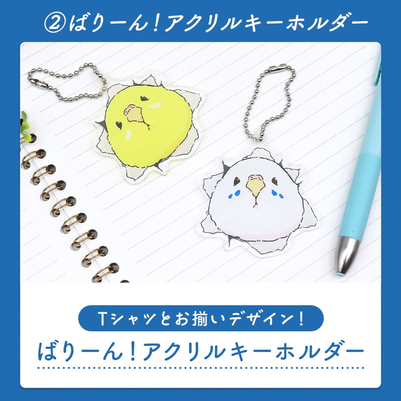 わくわく！夏のことり福袋2026★セキセイインコ 全2柄 セキセイ ブルー×ホワイト セキセイ グリーン×イエロー★小鳥グッズ 小鳥雑貨 雑貨 福袋 ハッピーバッグ ハッピーパック 夏の福袋 プレゼント ギフト 限定品 福袋 2026年 夏季