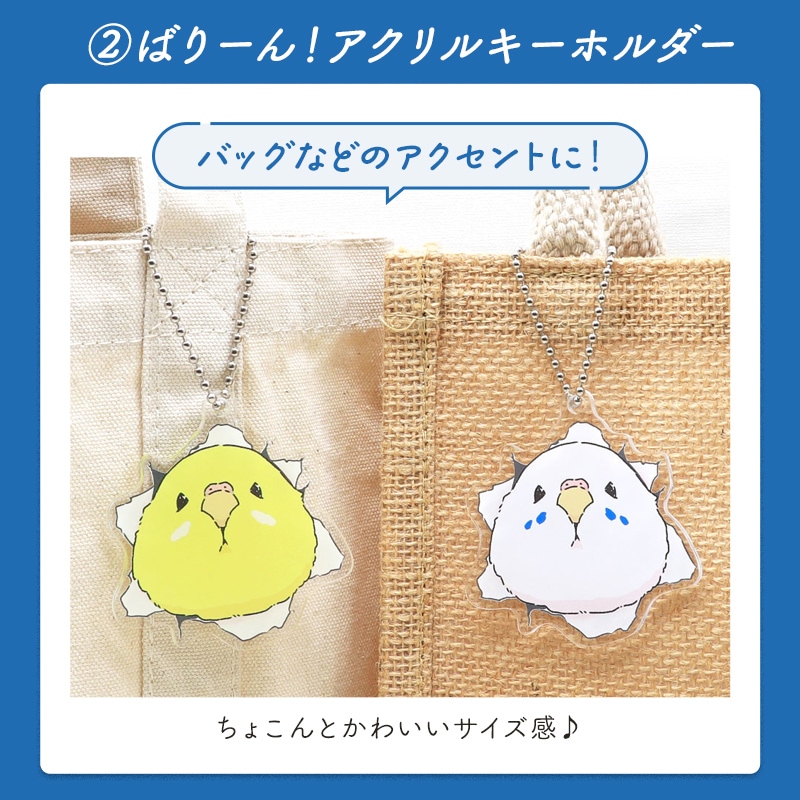 わくわく！夏のことり福袋2026★セキセイインコ 全2柄 セキセイ ブルー×ホワイト セキセイ グリーン×イエロー★小鳥グッズ 小鳥雑貨 雑貨 福袋 ハッピーバッグ ハッピーパック 夏の福袋 プレゼント ギフト 限定品 福袋 2026年 夏季