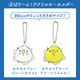 わくわく！夏のことり福袋2026★セキセイインコ 全2柄 セキセイ ブルー×ホワイト セキセイ グリーン×イエロー★小鳥グッズ 小鳥雑貨 雑貨 福袋 ハッピーバッグ ハッピーパック 夏の福袋 プレゼント ギフト 限定品 福袋 2026年 夏季