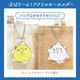 わくわく！夏のことり福袋2026★セキセイインコ 全2柄 セキセイ ブルー×ホワイト セキセイ グリーン×イエロー★小鳥グッズ 小鳥雑貨 雑貨 福袋 ハッピーバッグ ハッピーパック 夏の福袋 プレゼント ギフト 限定品 福袋 2026年 夏季