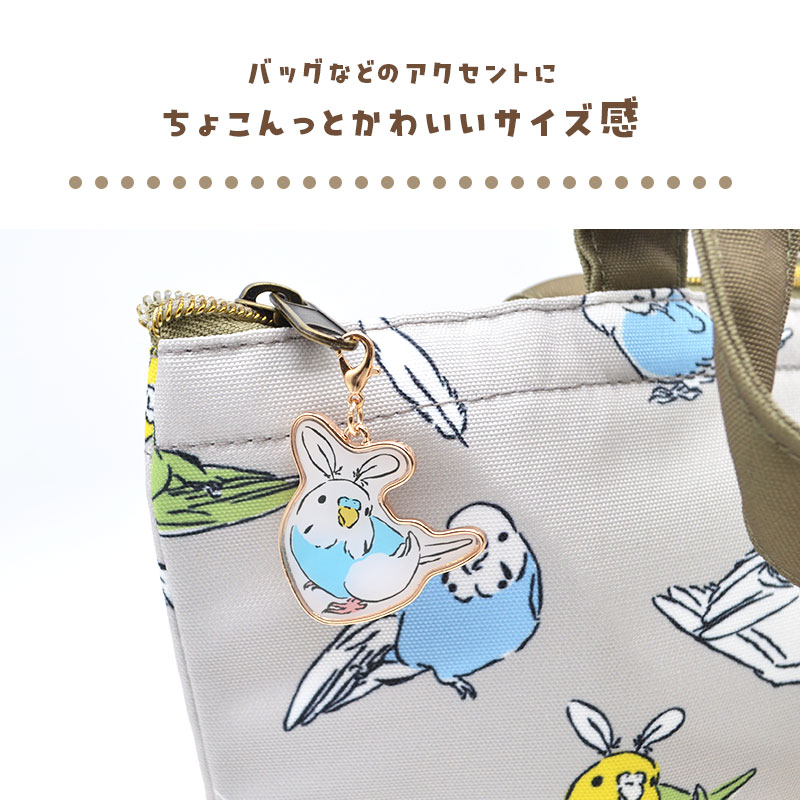 �ڤ��Ȥꤹ�ޤ���� �����Τ������ۥ���� �����������������֥롼 ���� ������������ �����ۥ���� ���㡼��