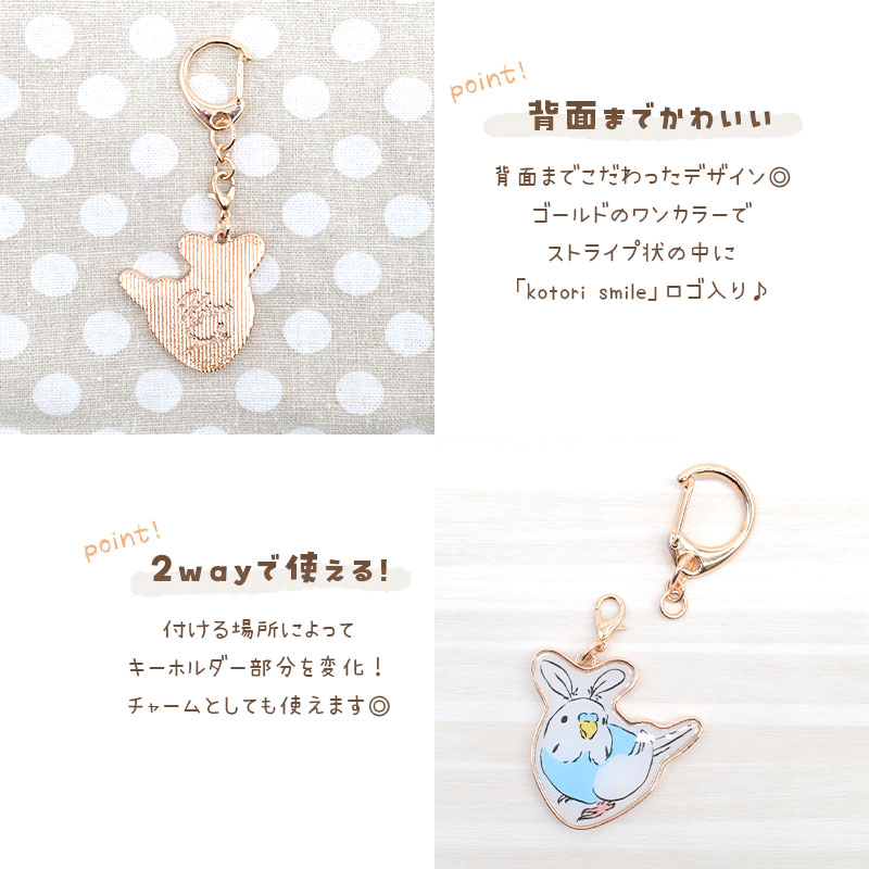 �ڤ��Ȥꤹ�ޤ���� �����Τ������ۥ���� �����������������֥롼 ���� ������������ �����ۥ���� ���㡼��