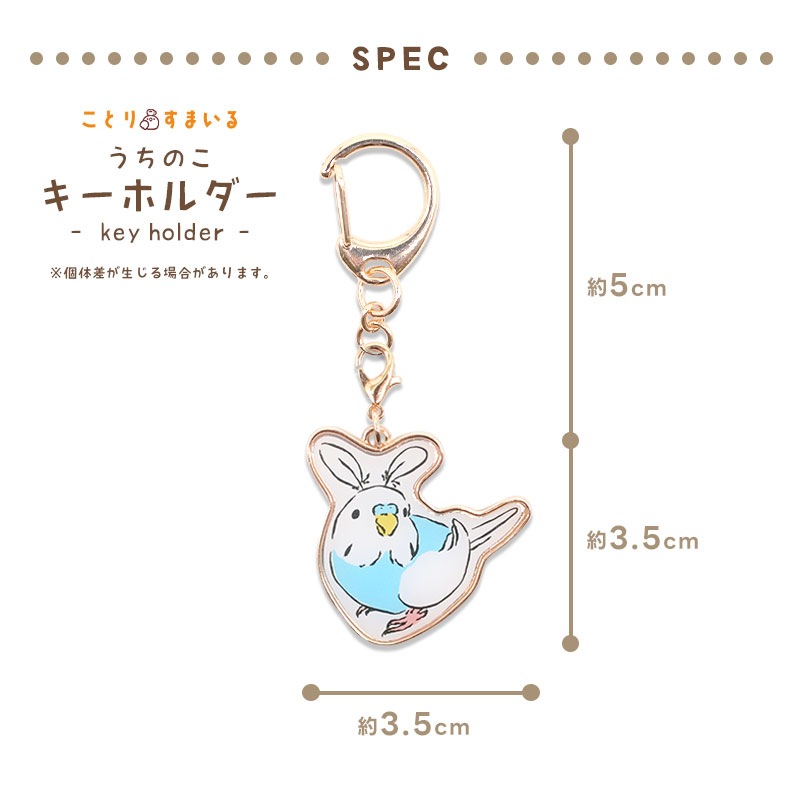 �ڤ��Ȥꤹ�ޤ���� �����Τ������ۥ���� �����������������֥롼 ���� ������������ �����ۥ���� ���㡼��
