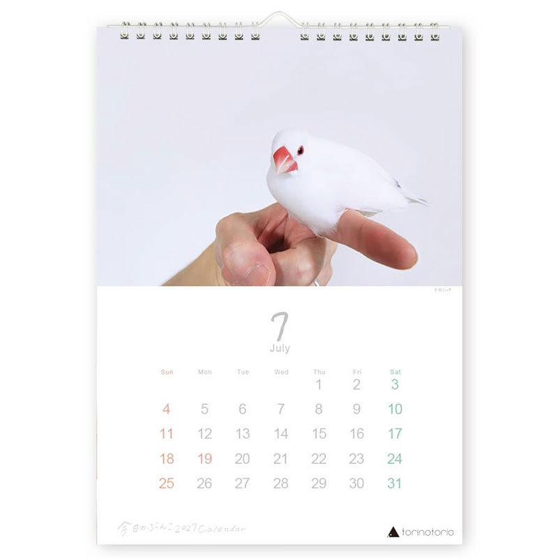今日のぶんこ 2027★A4 壁掛け カレンダー ◆ゆうパケット対応◆ 文鳥 ぶんちょう 令和9年 未年 【クリエイティブモーション】【torinotorio】