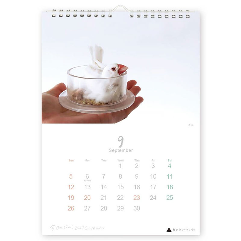 今日のぶんこ 2027★A4 壁掛け カレンダー ◆ゆうパケット対応◆ 文鳥 ぶんちょう 令和9年 未年 【クリエイティブモーション】【torinotorio】