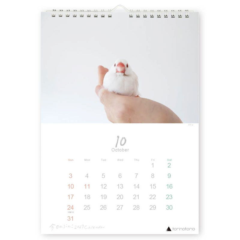 今日のぶんこ 2027★A4 壁掛け カレンダー ◆ゆうパケット対応◆ 文鳥 ぶんちょう 令和9年 未年 【クリエイティブモーション】【torinotorio】