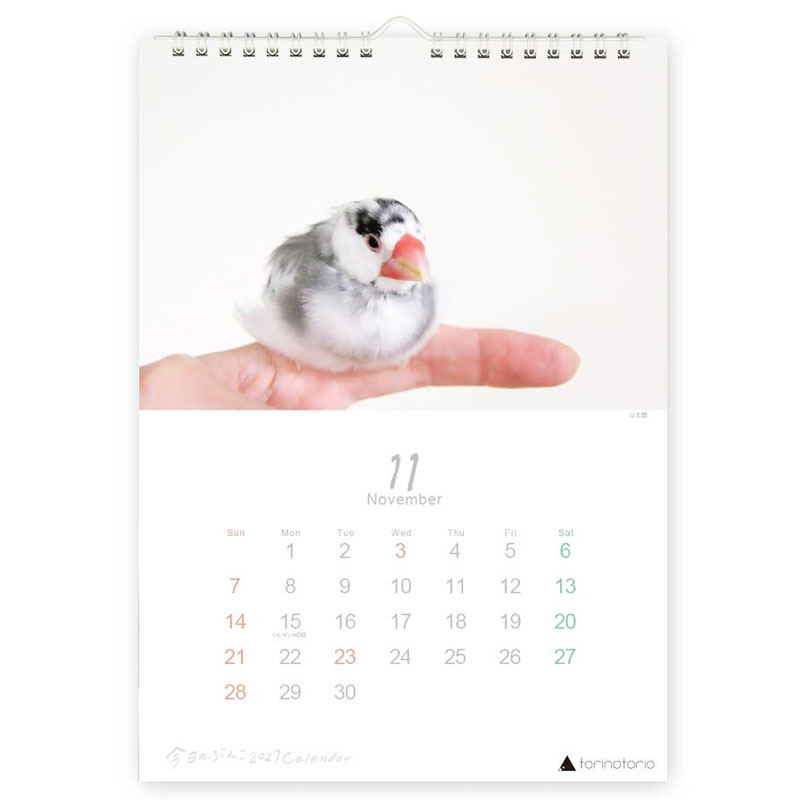 今日のぶんこ 2027★A4 壁掛け カレンダー ◆ゆうパケット対応◆ 文鳥 ぶんちょう 令和9年 未年 【クリエイティブモーション】【torinotorio】
