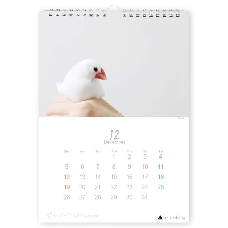 今日のぶんこ 2027★A4 壁掛け カレンダー ◆ゆうパケット対応◆ 文鳥 ぶんちょう 令和9年 未年 【クリエイティブモーション】【torinotorio】