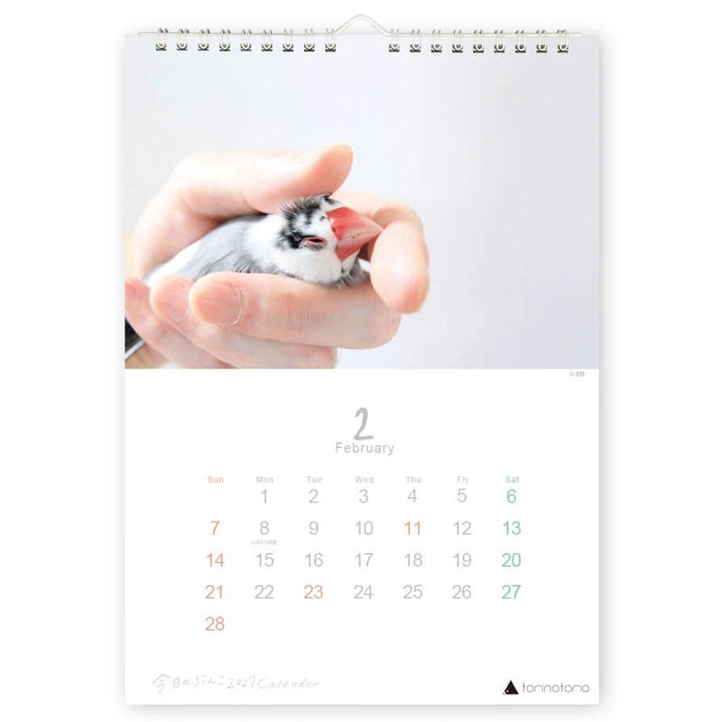 今日のぶんこ 2027★A4 壁掛け カレンダー ◆ゆうパケット対応◆ 文鳥 ぶんちょう 令和9年 未年 【クリエイティブモーション】【torinotorio】