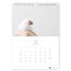 今日のぶんこ 2027★A4 壁掛け カレンダー ◆ゆうパケット対応◆ 文鳥 ぶんちょう 令和9年 未年 【クリエイティブモーション】【torinotorio】