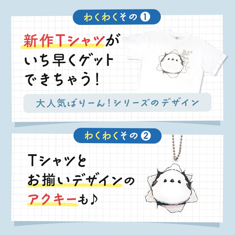 わくわく！夏のことり福袋2026★シマエナガ★小鳥グッズ 小鳥雑貨 雑貨 福袋 ハッピーバッグ ハッピーパック 夏の福袋 プレゼント ギフト 限定品 福袋 2026年 夏季