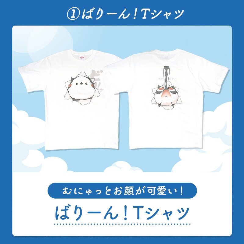 わくわく！夏のことり福袋2026★シマエナガ★小鳥グッズ 小鳥雑貨 雑貨 福袋 ハッピーバッグ ハッピーパック 夏の福袋 プレゼント ギフト 限定品 福袋 2026年 夏季