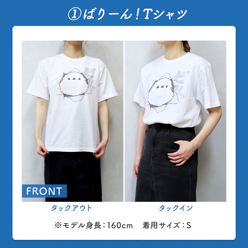 わくわく！夏のことり福袋2026★シマエナガ★小鳥グッズ 小鳥雑貨 雑貨 福袋 ハッピーバッグ ハッピーパック 夏の福袋 プレゼント ギフト 限定品 福袋 2026年 夏季