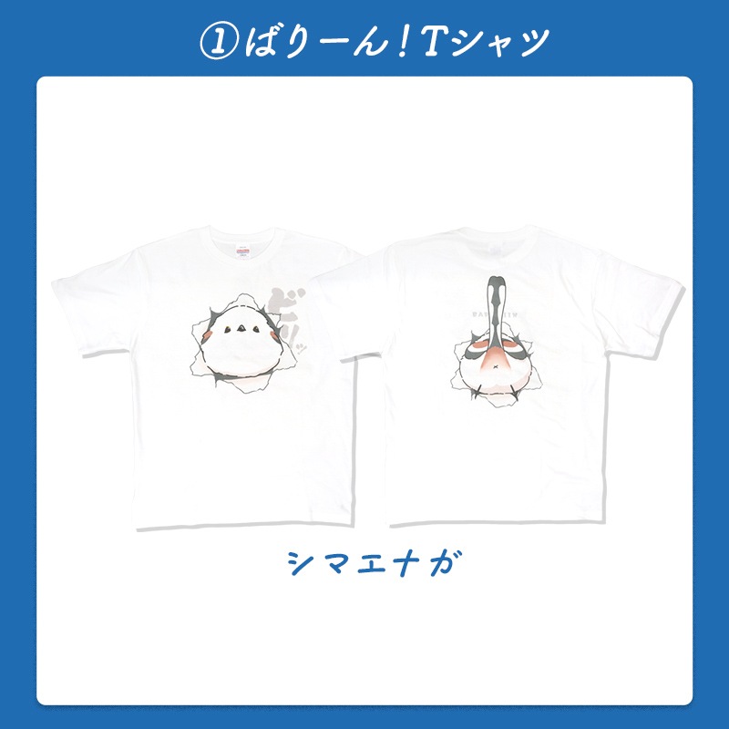 わくわく！夏のことり福袋2026★シマエナガ★小鳥グッズ 小鳥雑貨 雑貨 福袋 ハッピーバッグ ハッピーパック 夏の福袋 プレゼント ギフト 限定品 福袋 2026年 夏季